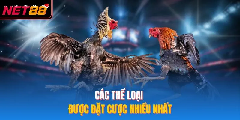 Các thể loại được đặt cược nhiều nhất