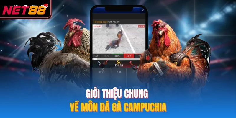 Đá Gà Campuchia – Kinh Nghiệm Thắng NET88 Hiệu Quả Nhất 2026 Giới thiệu chung về môn đá gà campuchia